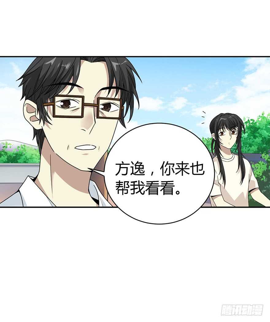 《神藏》47 赌树（上） 第19页