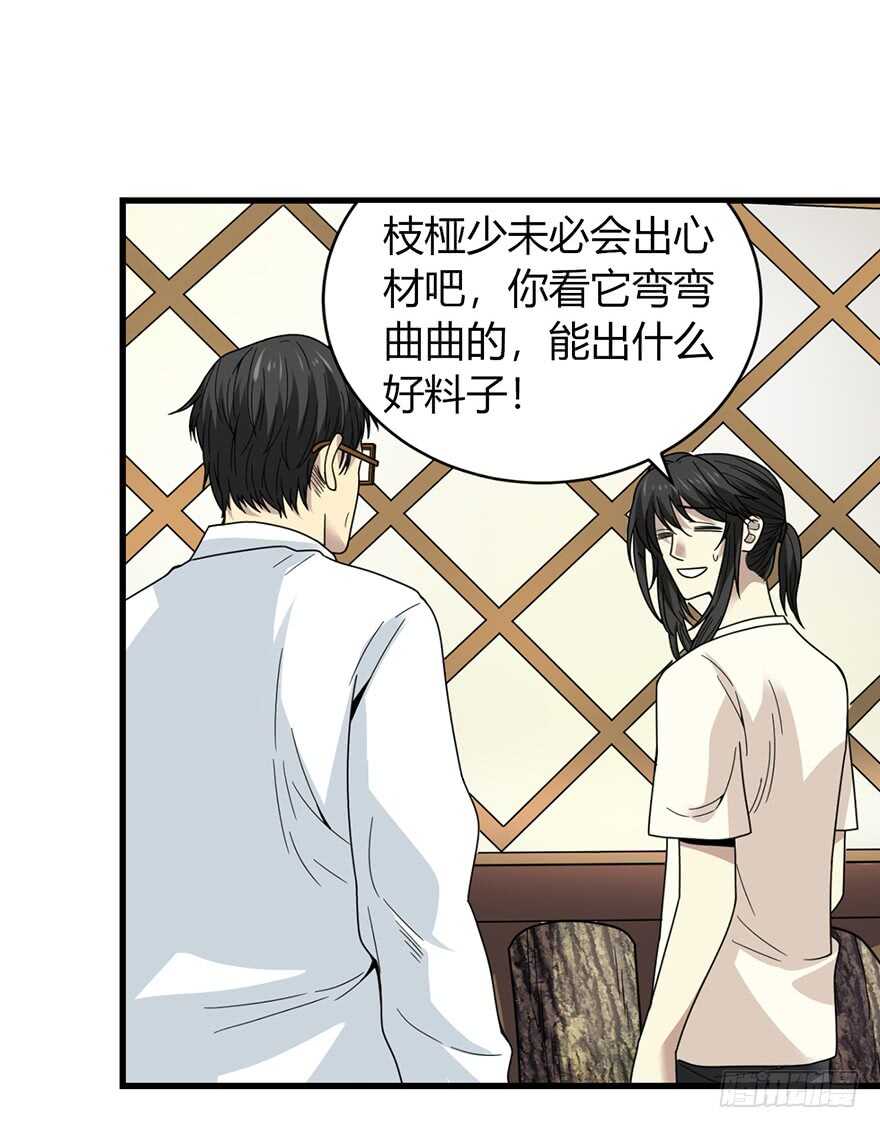 《神藏》47 赌树（上） 第28页
