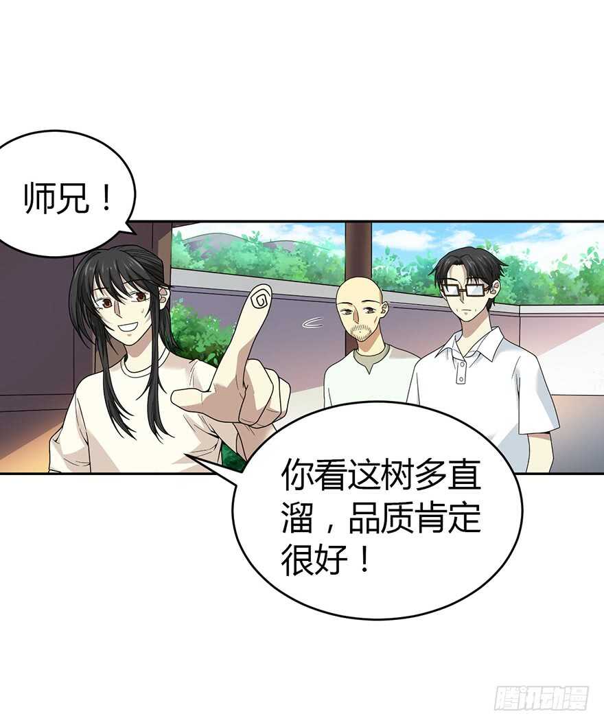 《神藏》47 赌树（上） 第29页