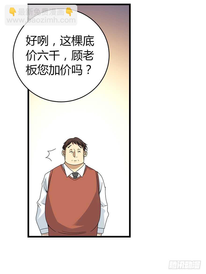 《神藏》47 赌树（上） 第33页
