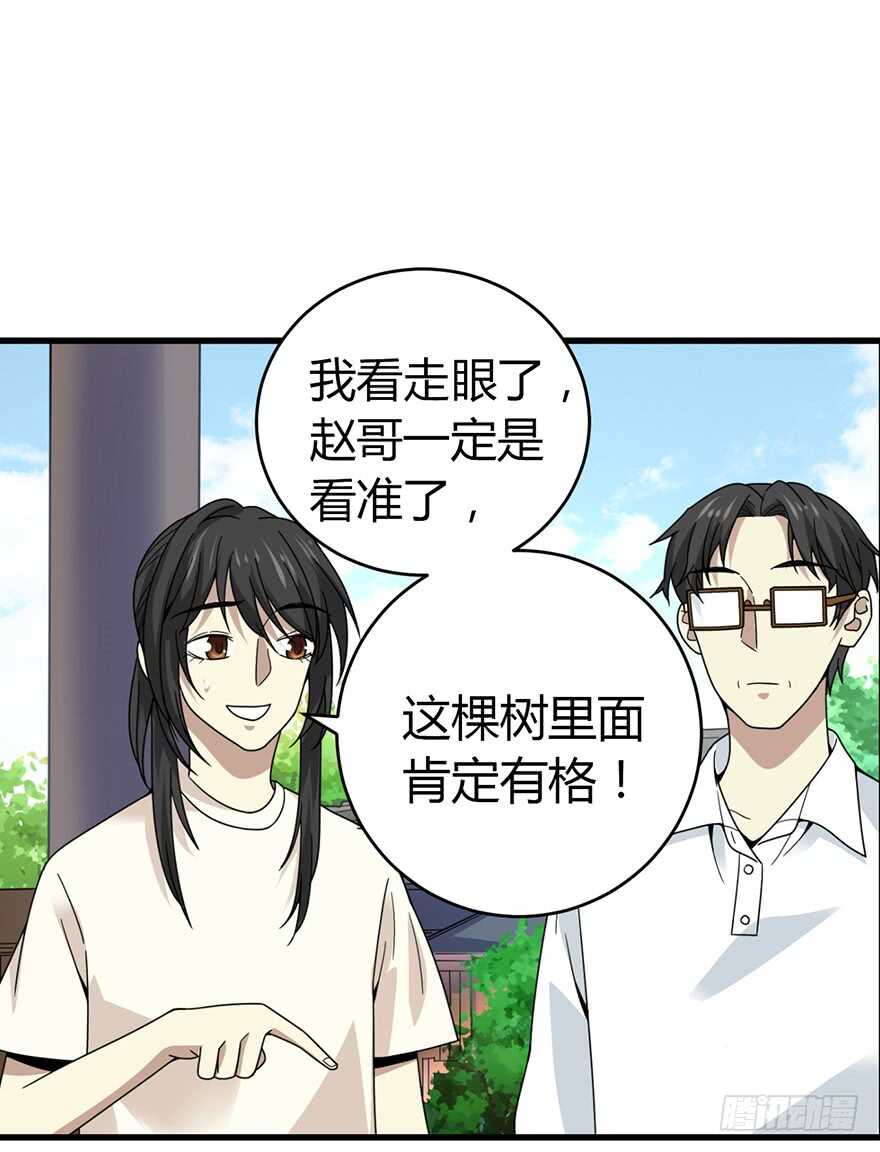 《神藏》47 赌树（上） 第40页