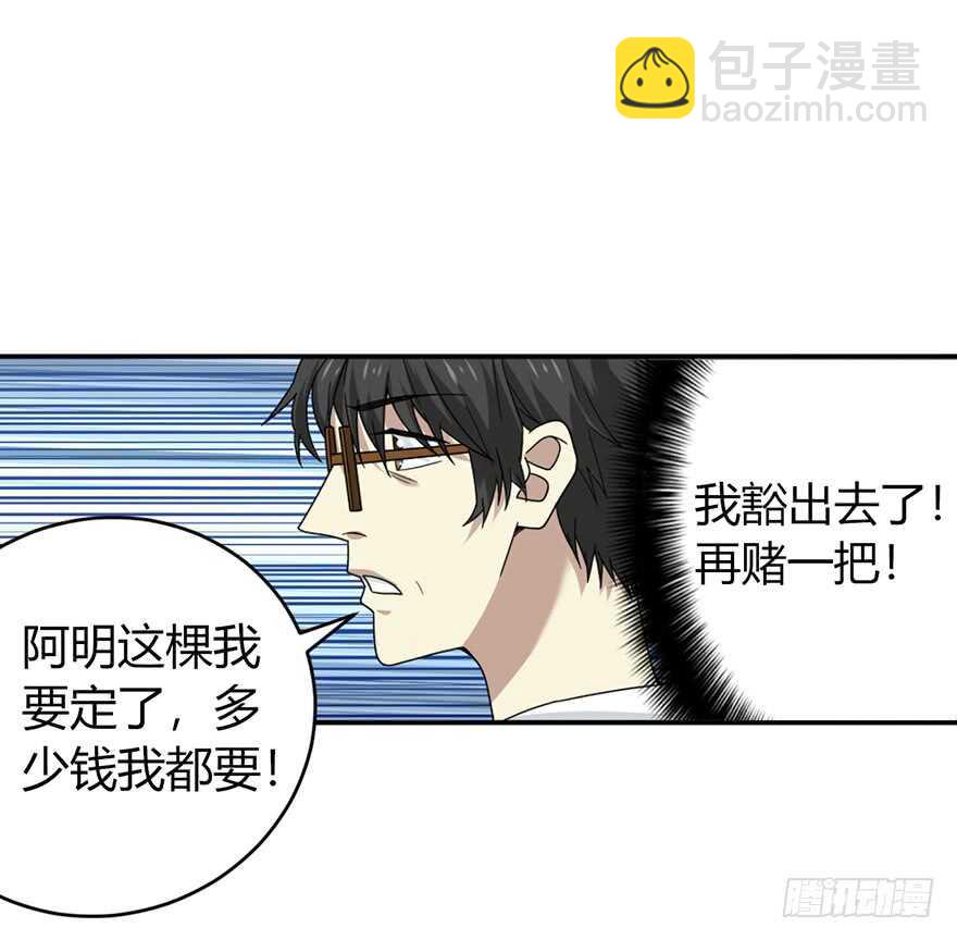 《神藏》47 赌树（上） 第41页