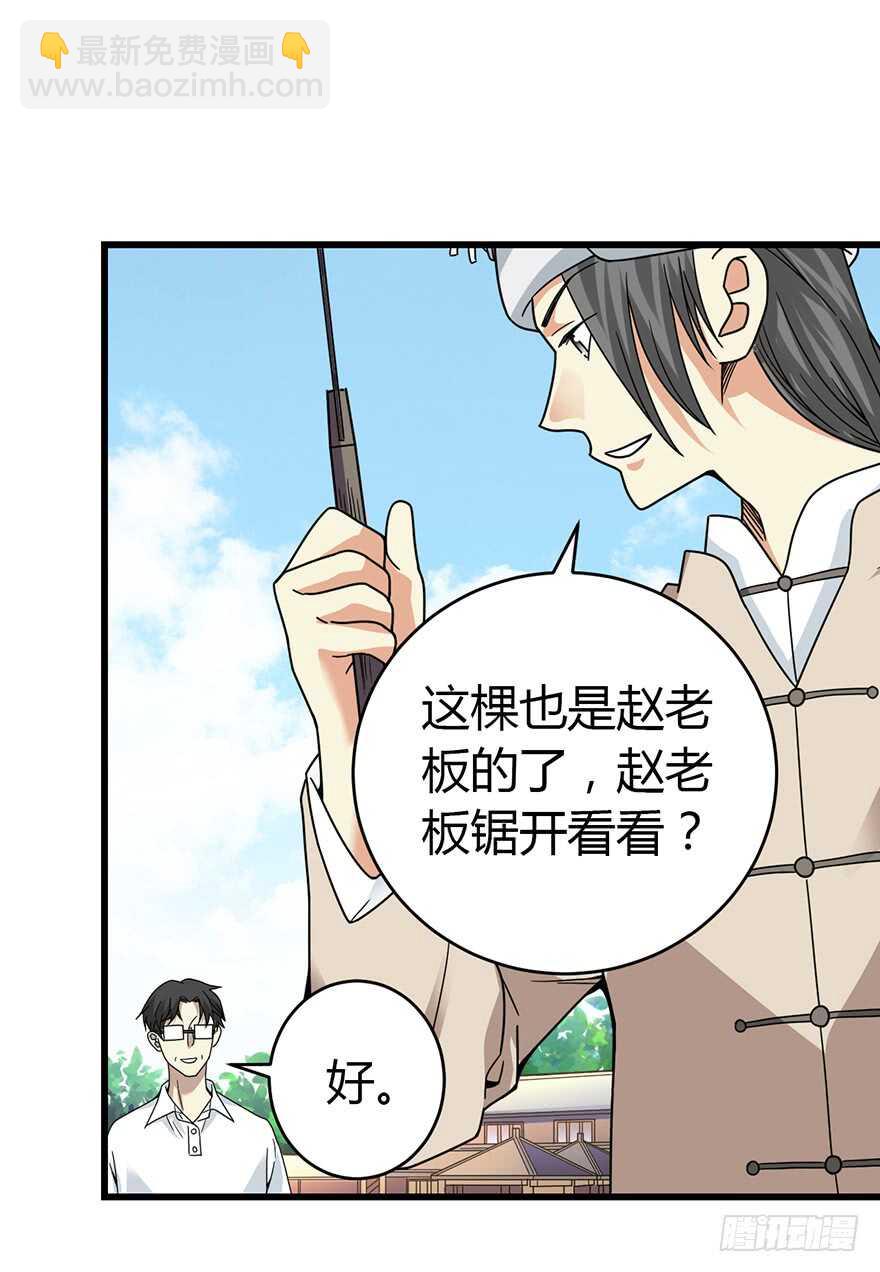 《神藏》47 赌树（上） 第44页