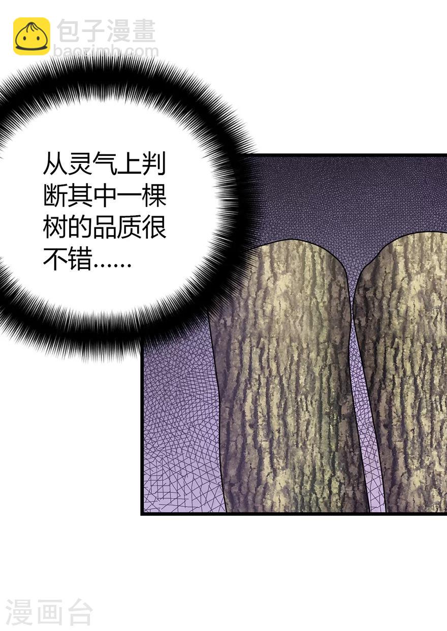 《神藏》第48话 赌树2 第16页