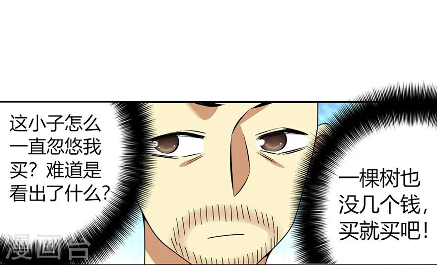 《神藏》第48话 赌树2 第28页