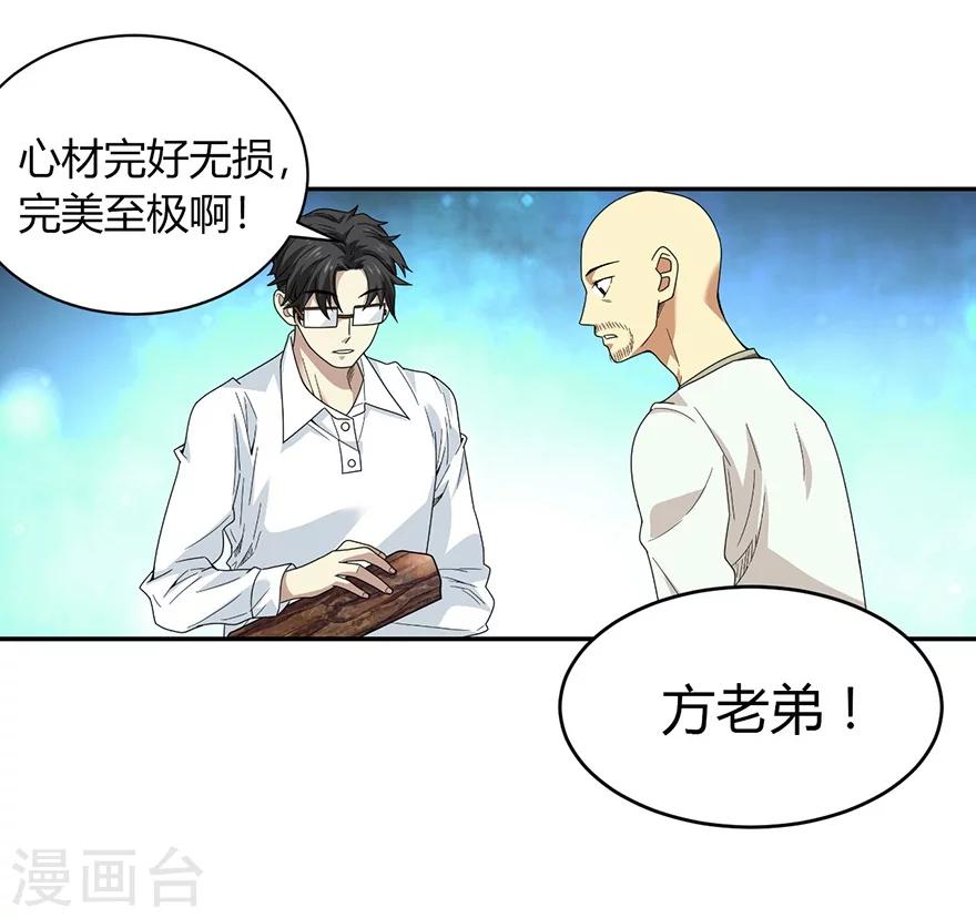 《神藏》第48话 赌树2 第2页