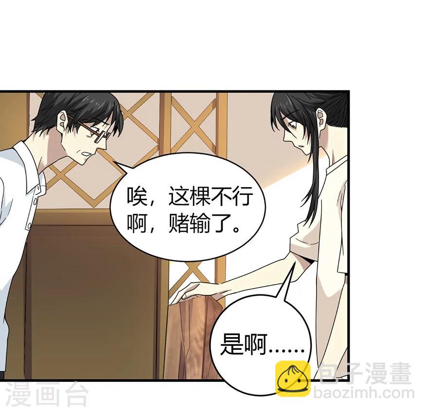 《神藏》第48话 赌树2 第32页