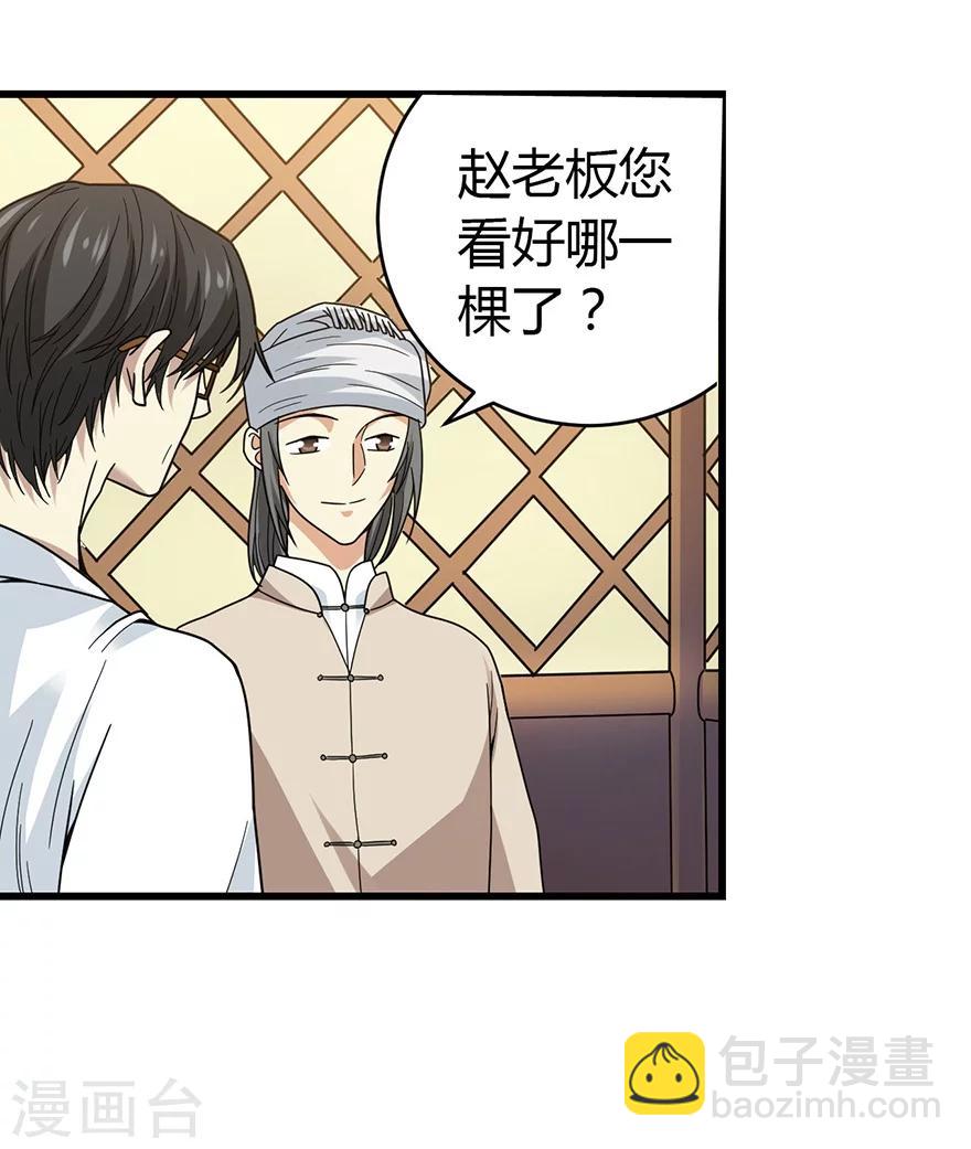 《神藏》第47话 赌树1 第27页
