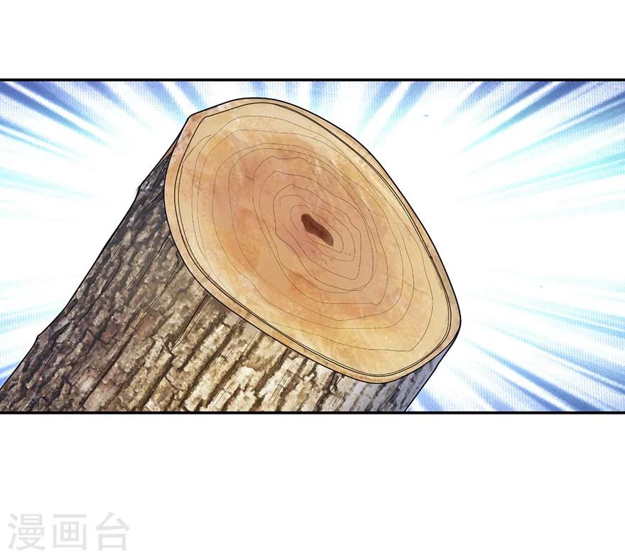 《神藏》第47话 赌树1 第2页