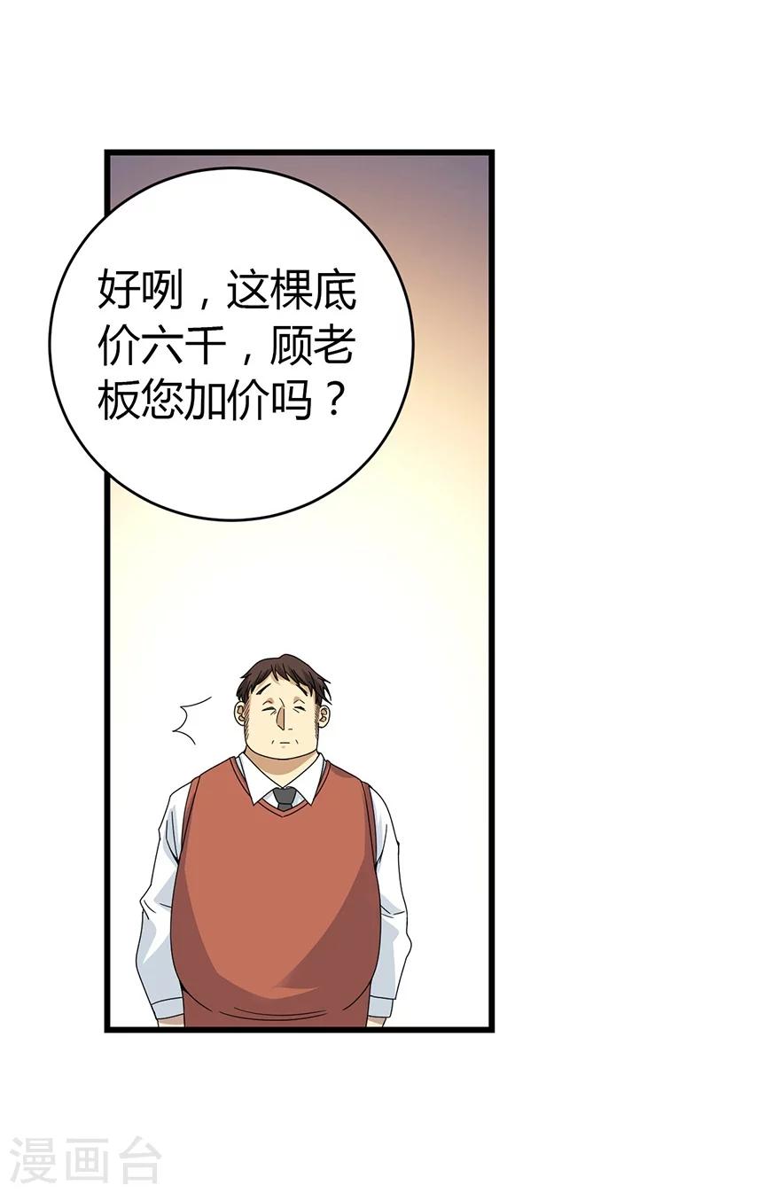 《神藏》第47话 赌树1 第30页
