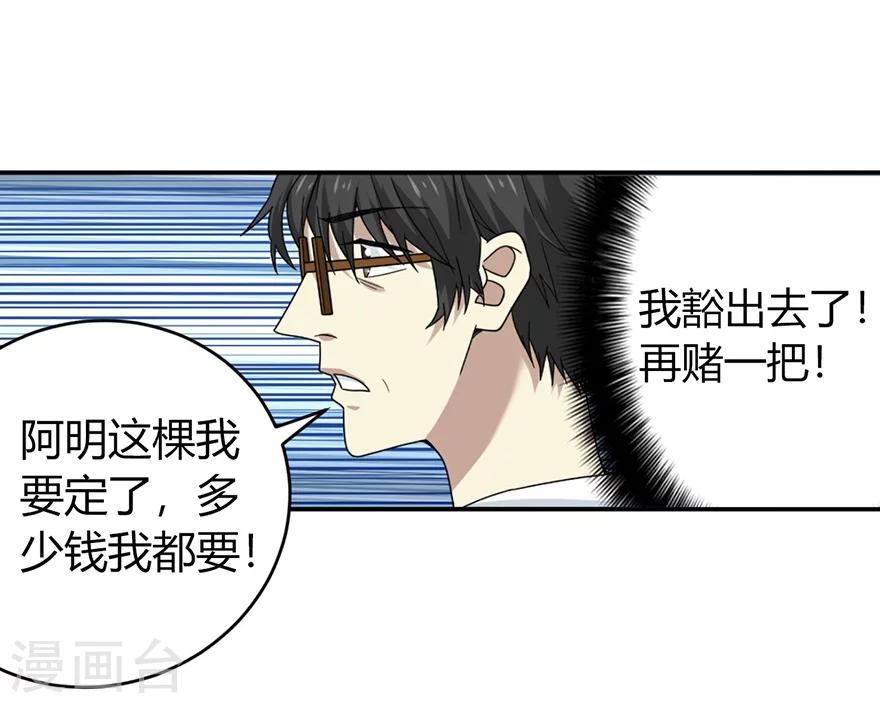 《神藏》第47话 赌树1 第37页