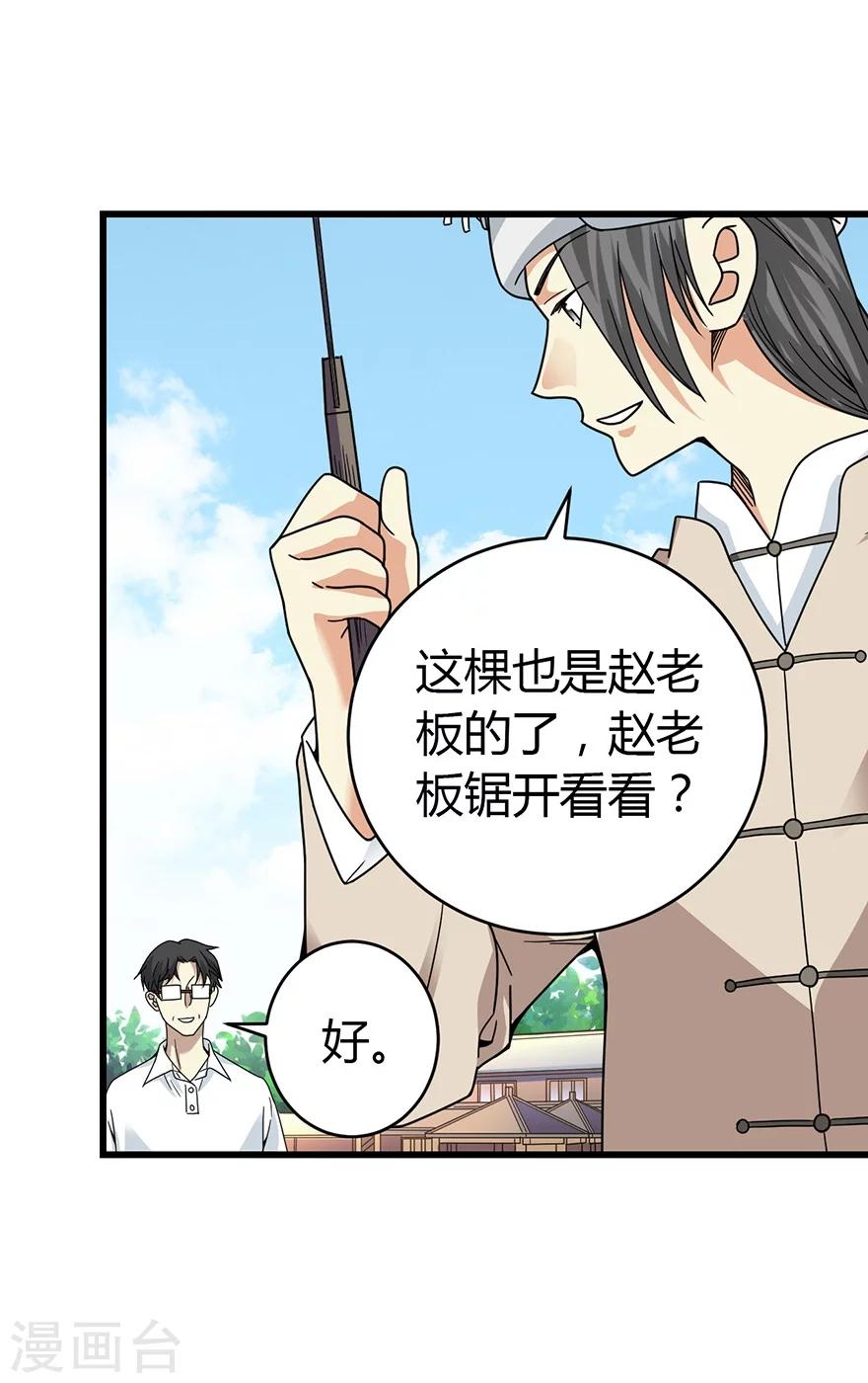 《神藏》第47话 赌树1 第40页