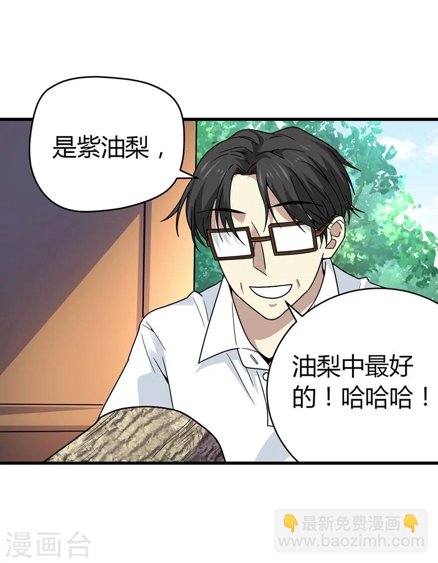 《神藏》第47话 赌树1 第44页
