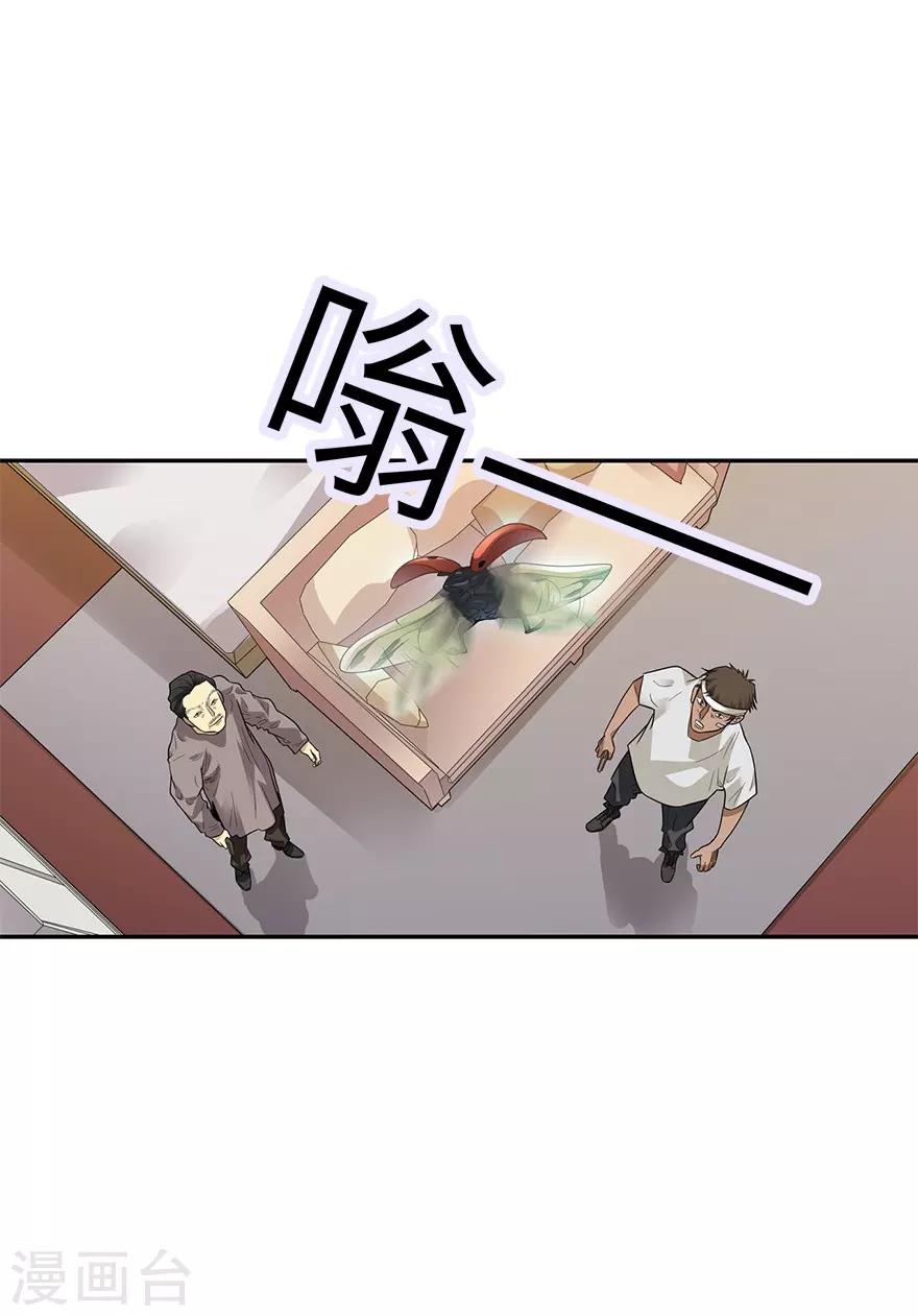 《神藏》第97话 金蚕蛊 第31页