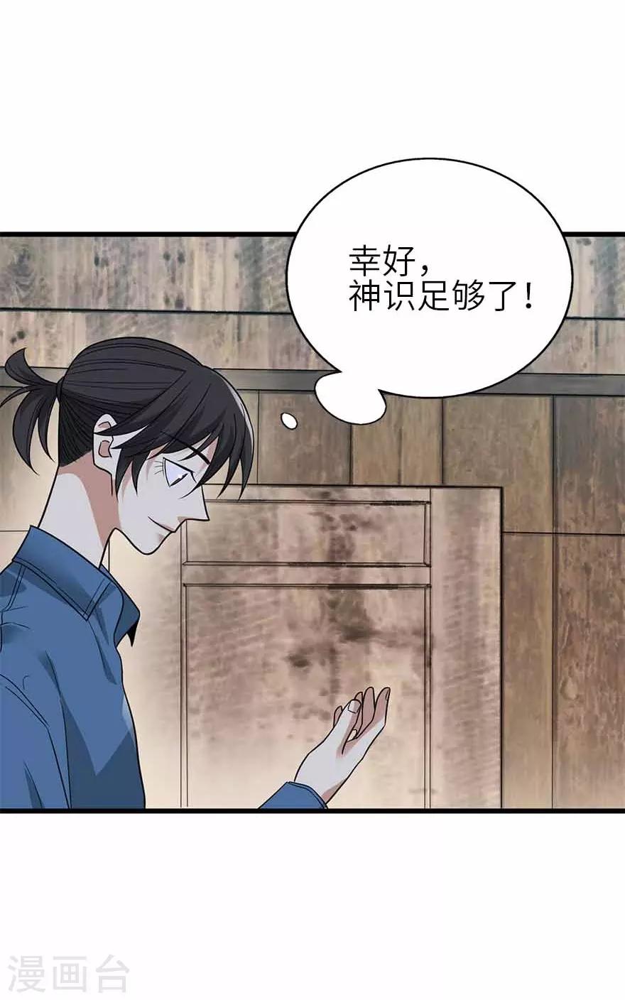 《神藏》第110话 西王赏功 第45页