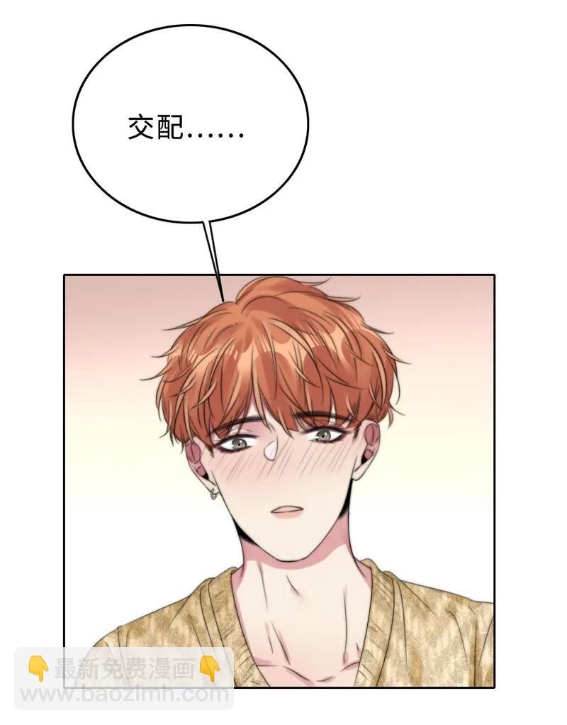 《变态迷弟俏偶像》049 禽……禽兽！ 第16页