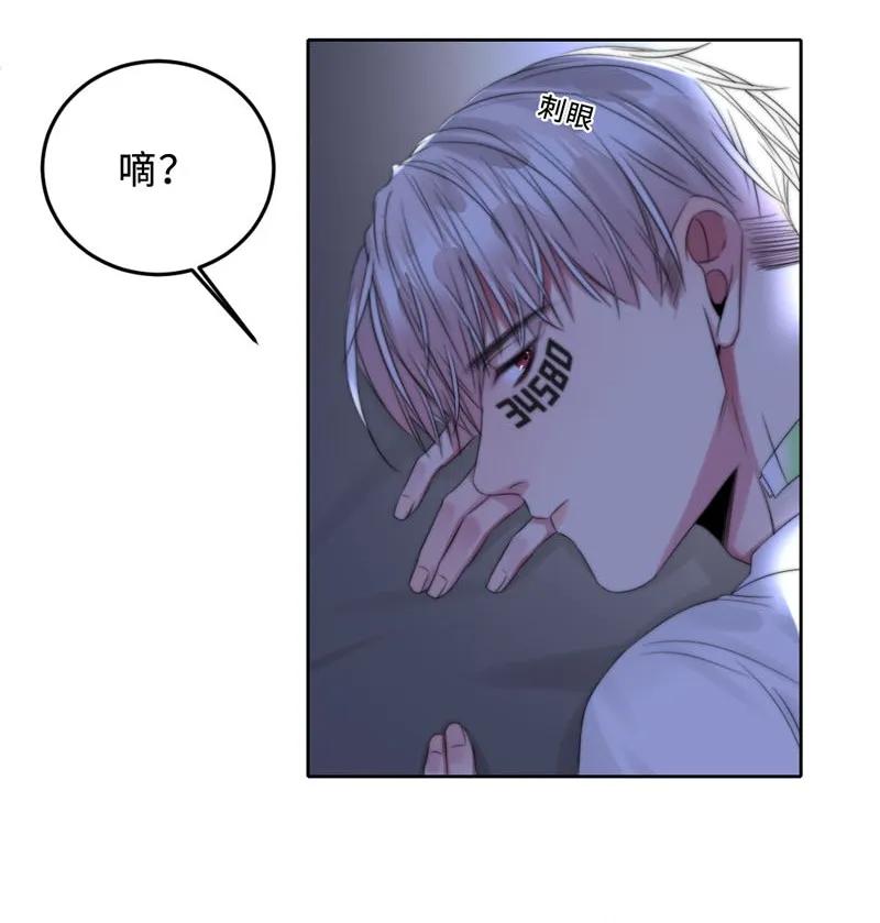 《变态迷弟俏偶像》060 找到他 第20页