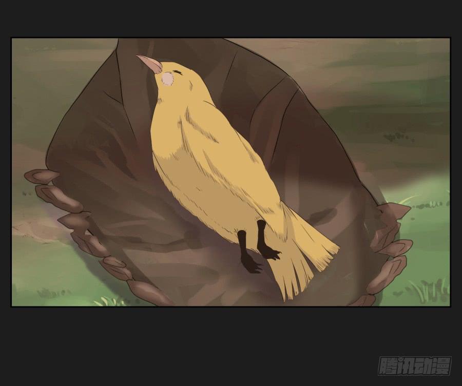 《不良双子》安一！这样做真的值得吗…… 第46页