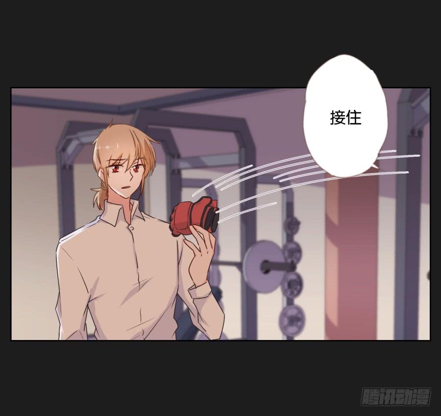 《不良双子》记住你的话！用生命保护她…… 第5页