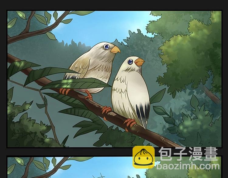 《大荒咒》第13话下 第3页