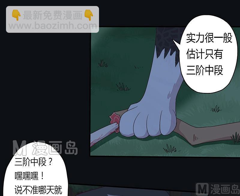 《大荒咒》第28话 斗篷下的阴谋！ 第29页
