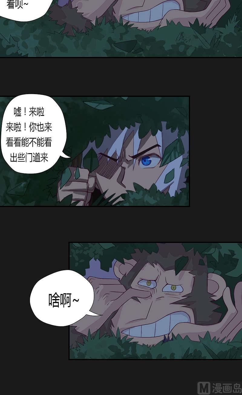 《大荒咒》第32话 约战前十五天 · 夜 第13页