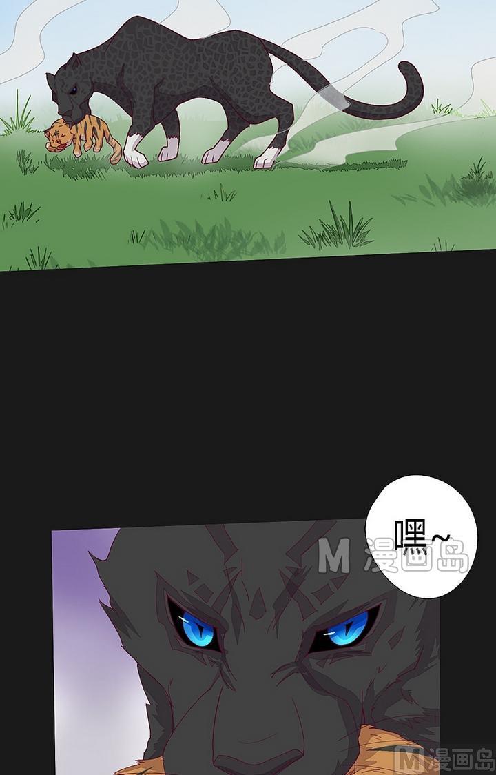 《大荒咒》第43话 王蔑视！ 第13页