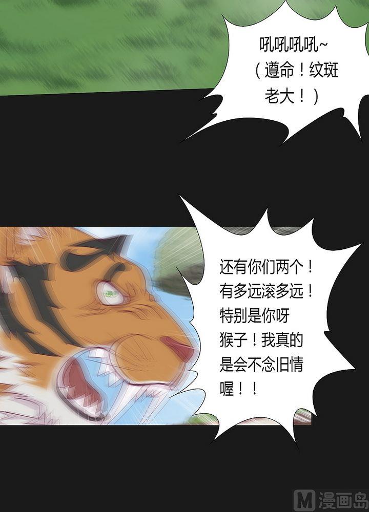 《大荒咒》第48话 坠落！ 第11页