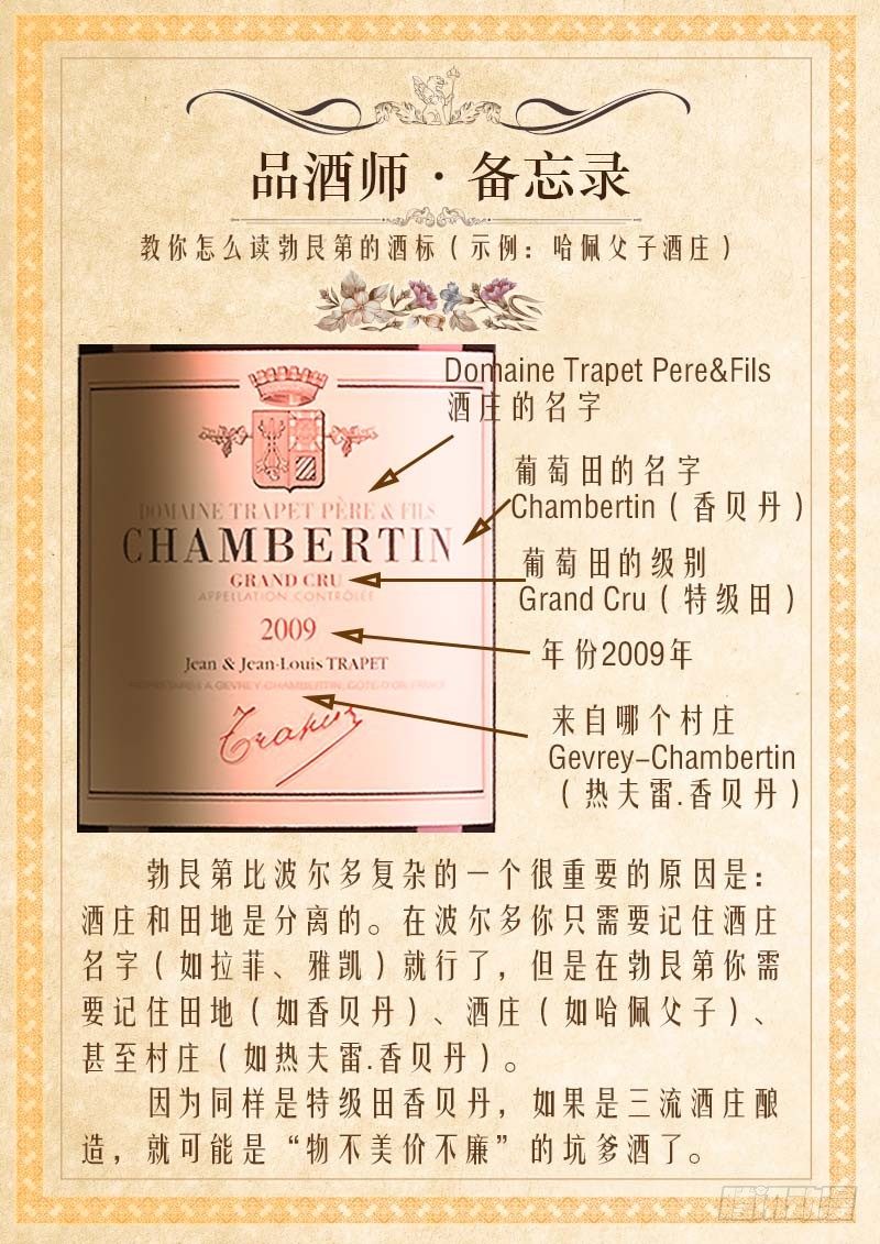 《黑金品酒师》番外品酒师备忘录(知识卡片1) 第10页