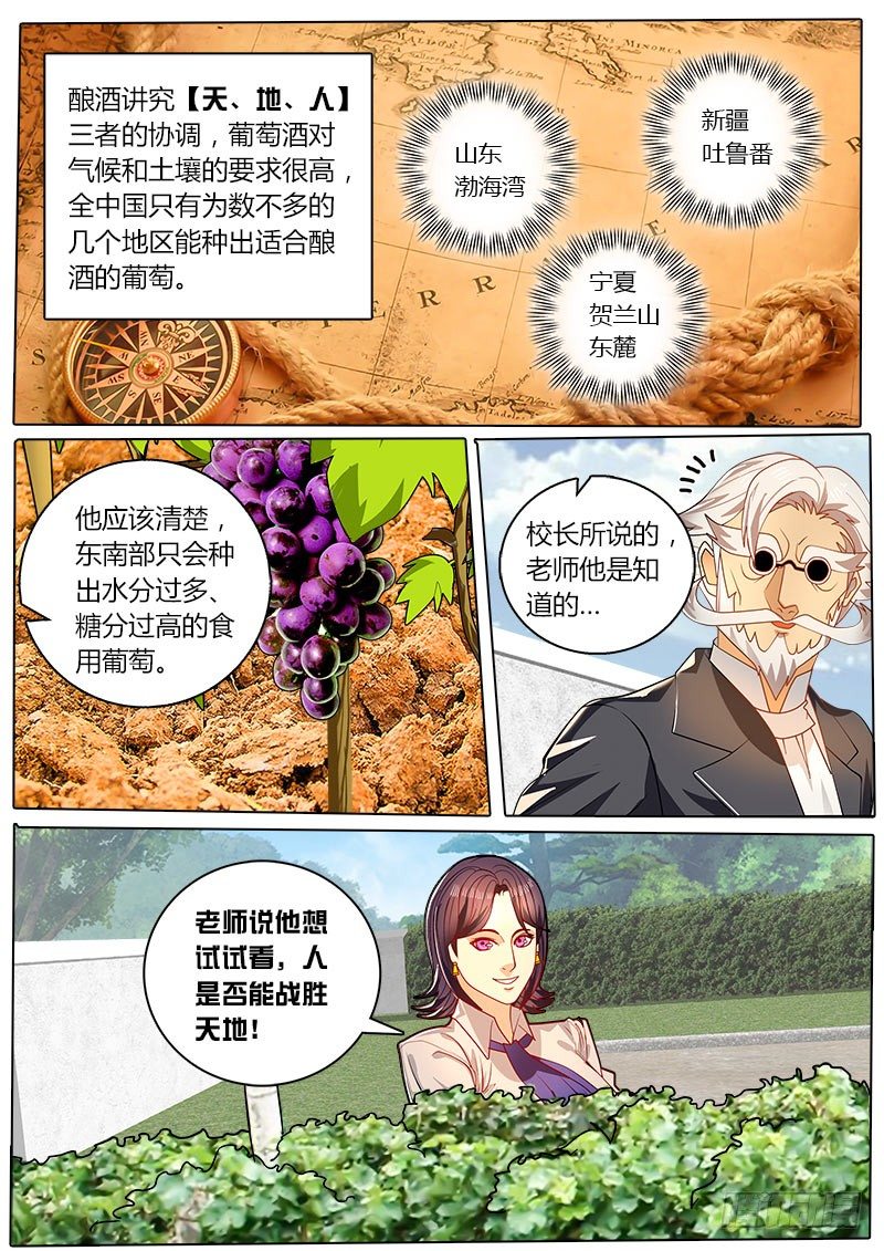 《黑金品酒师》第30话 品尝出万分之一的差别 第11页