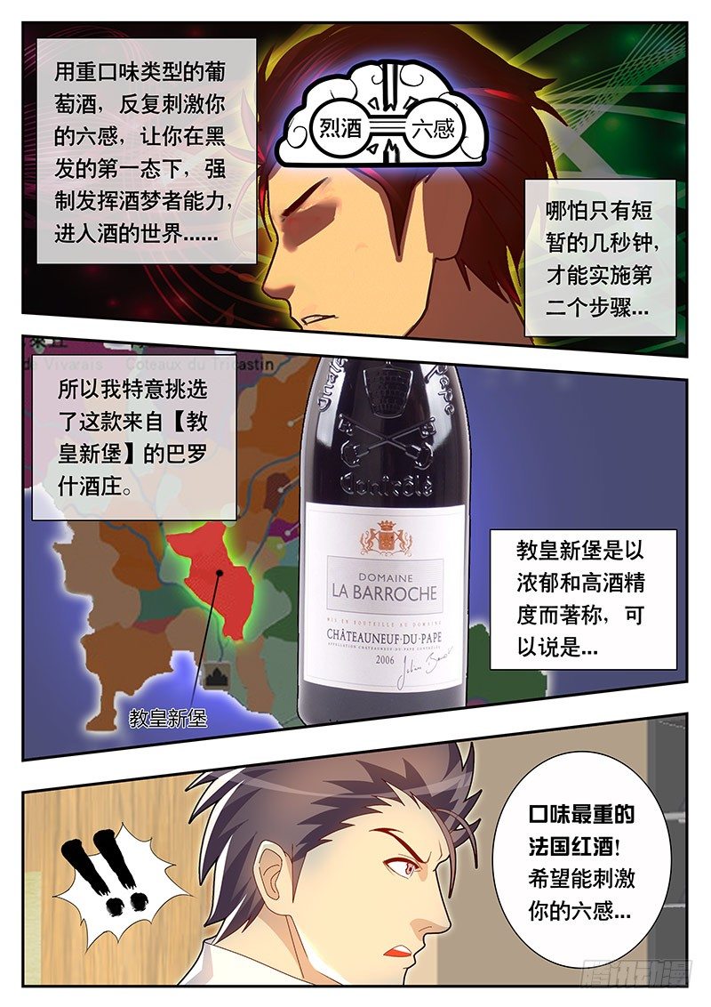《黑金品酒师》第77话 葡萄酒的极限 第10页