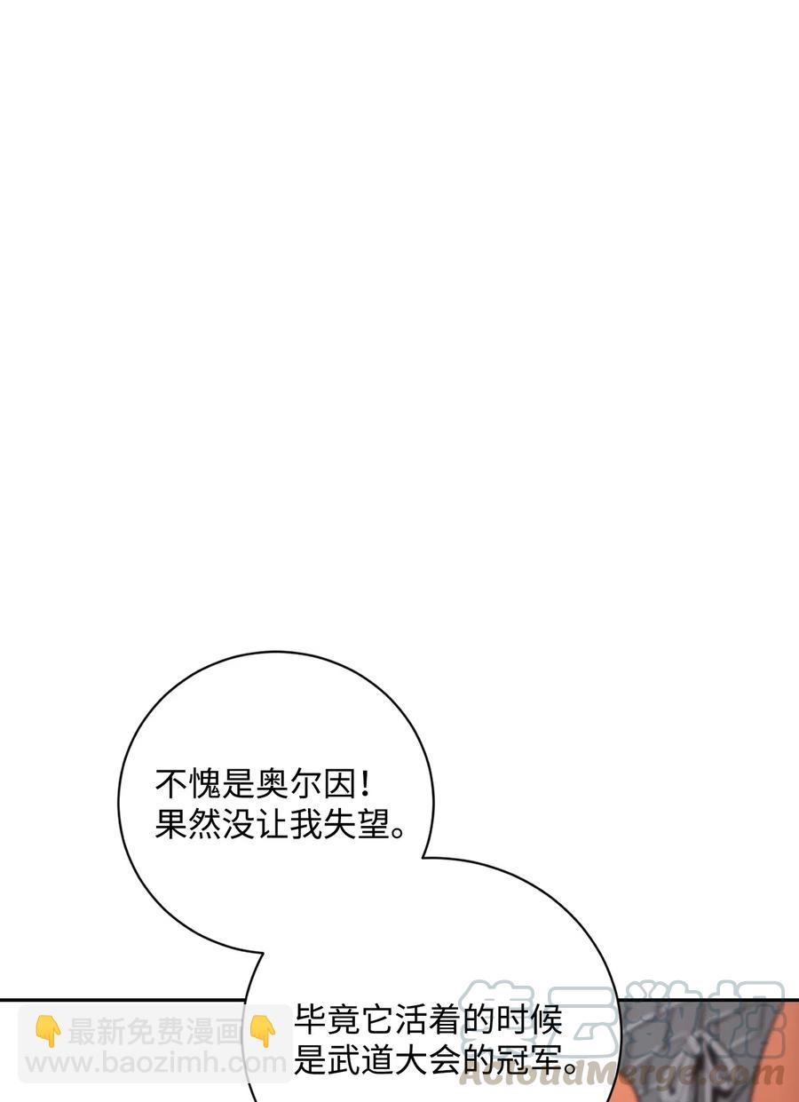 《骷髅骑士没能守住副本》64 无头骑士 第13页