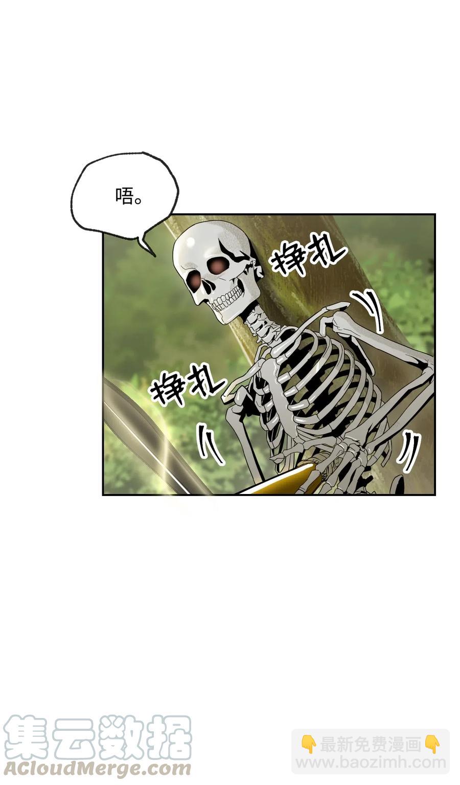 《骷髅骑士没能守住副本》62 单刀赴会 第33页