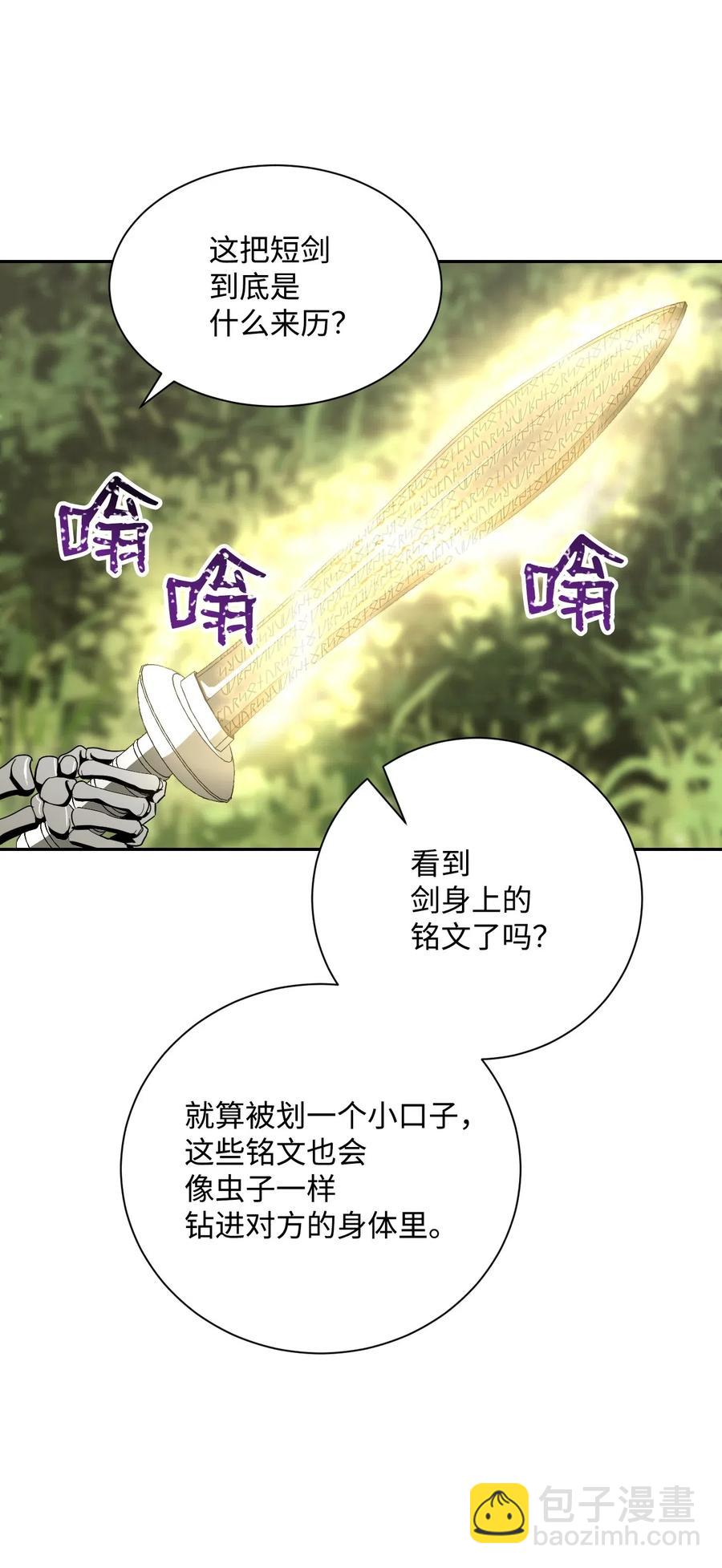 《骷髅骑士没能守住副本》62 单刀赴会 第46页