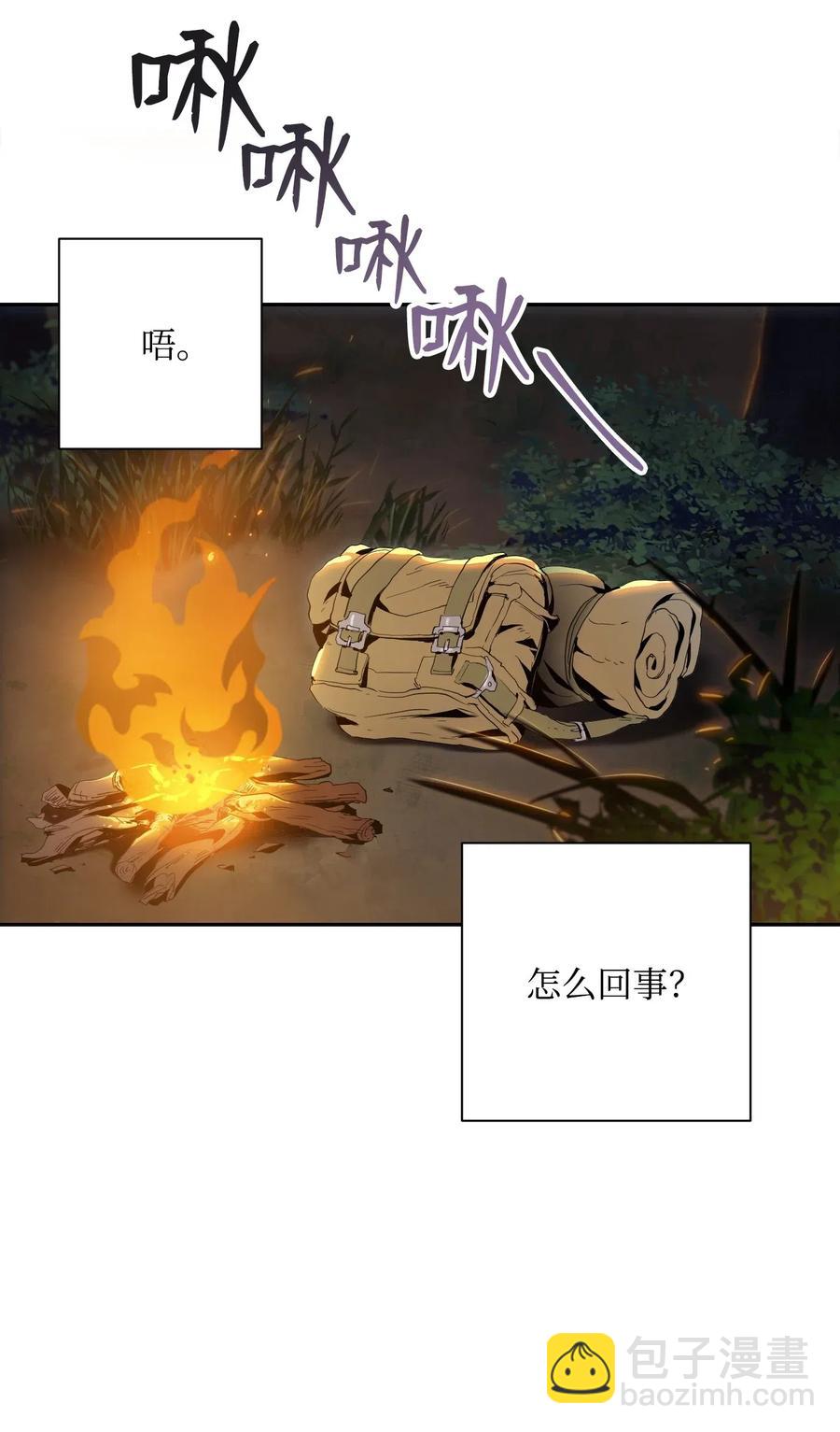 《骷髅骑士没能守住副本》71 星光魅狐 第11页