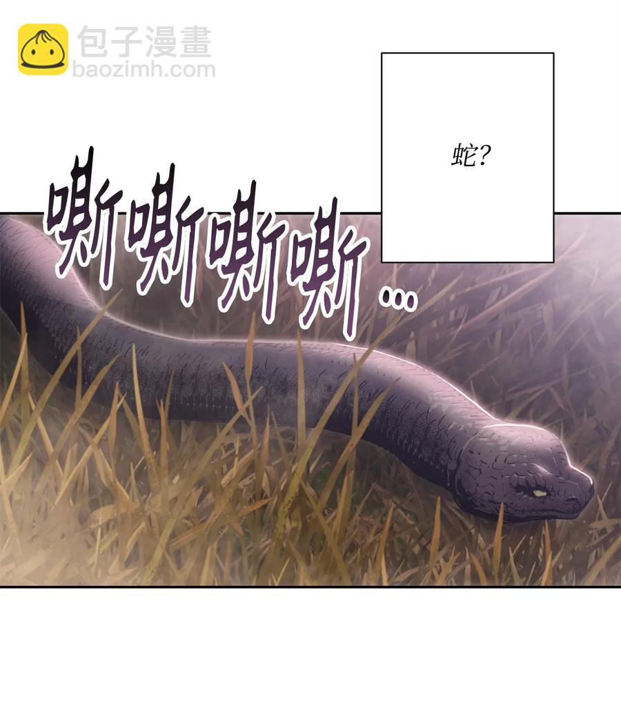 《骷髅骑士没能守住副本》93 饲养场 第50页