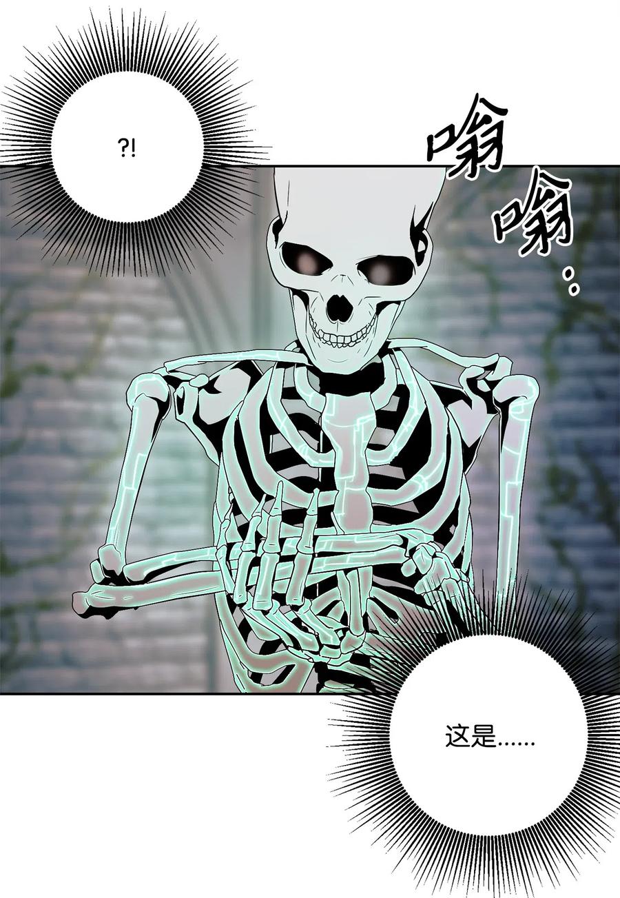 《骷髅骑士没能守住副本》114 转职 第19页