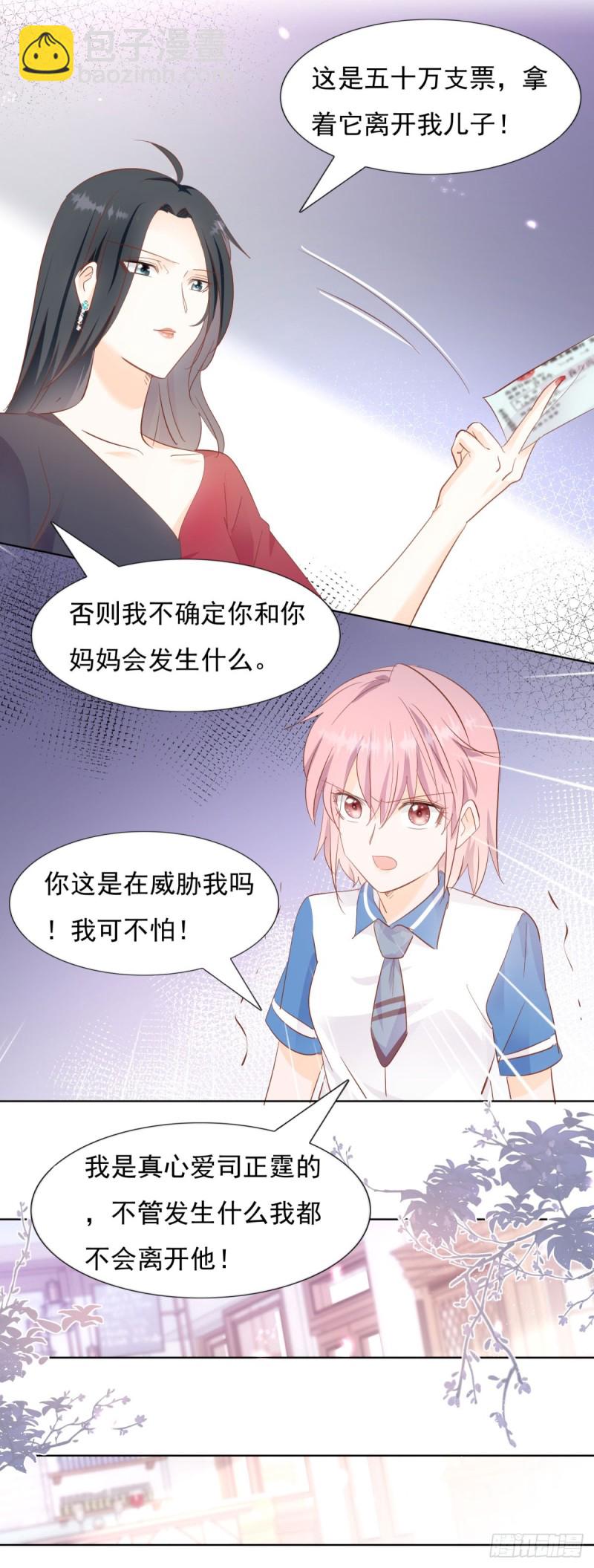 《推倒总裁的一千种姿势（推到他）》直面婆婆 第20页