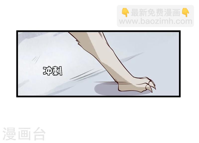 《农家娘子有喜了》第17话 遇险 第11页
