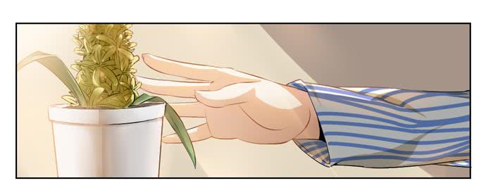 《未婚爸爸》风信子 第14页