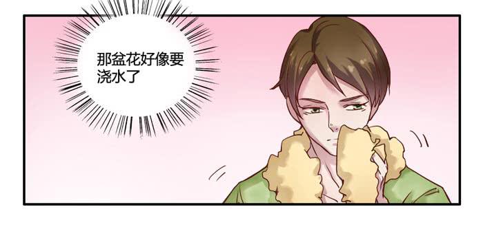 《未婚爸爸》风信子 第19页