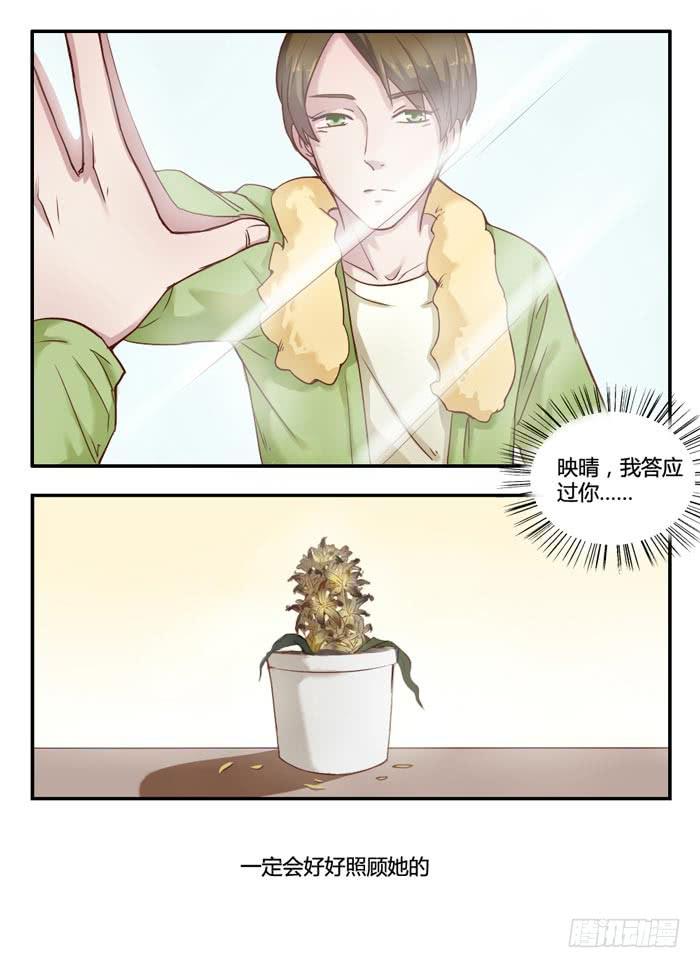 《未婚爸爸》风信子 第20页