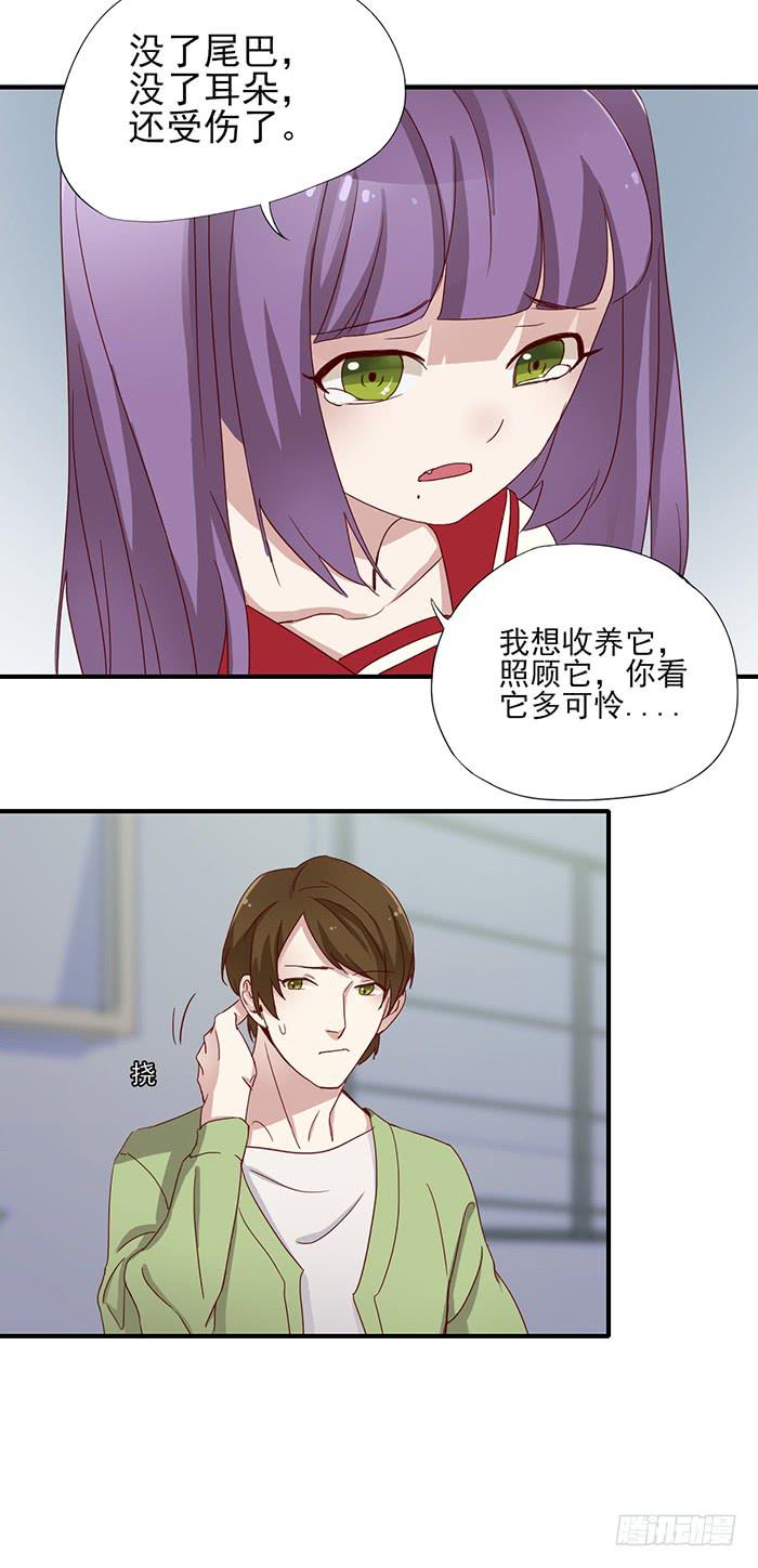 《未婚爸爸》没爱心的家伙 第7页