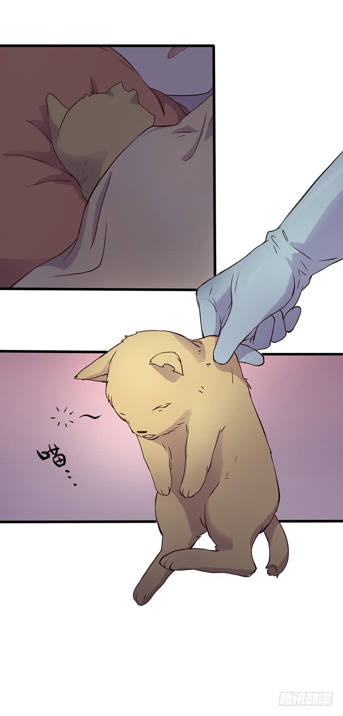 《未婚爸爸》雨夜 第17页