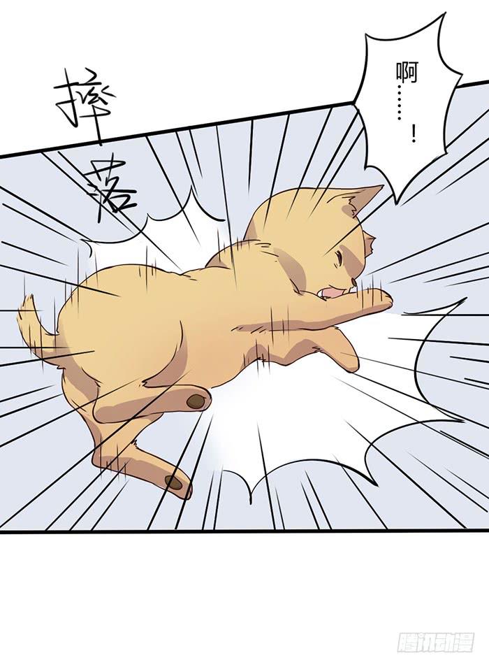 《未婚爸爸》雨夜 第28页