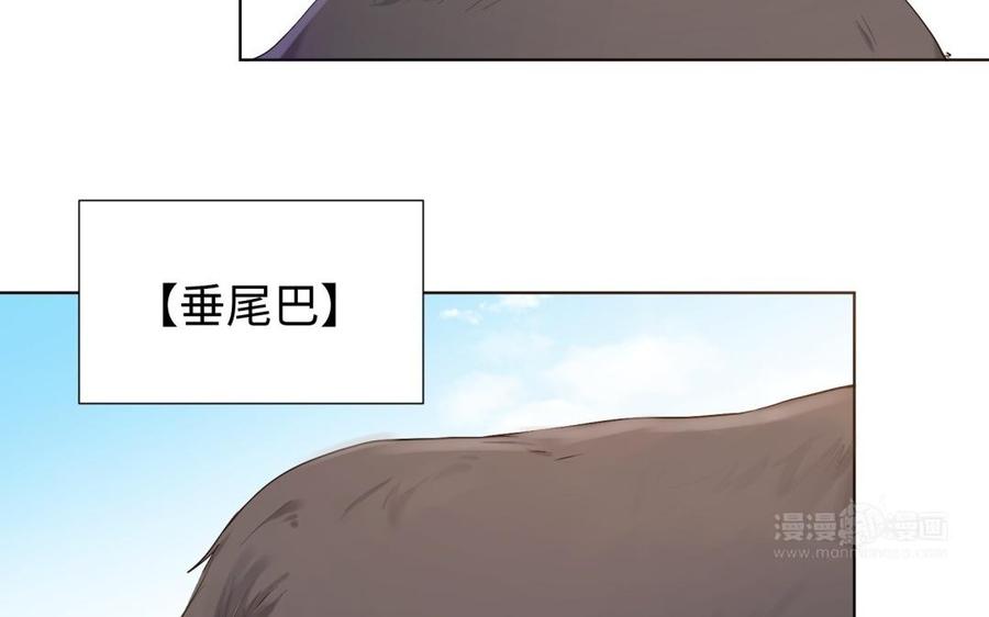 《大神在下》都90话 楚大神变狼！ 第14页