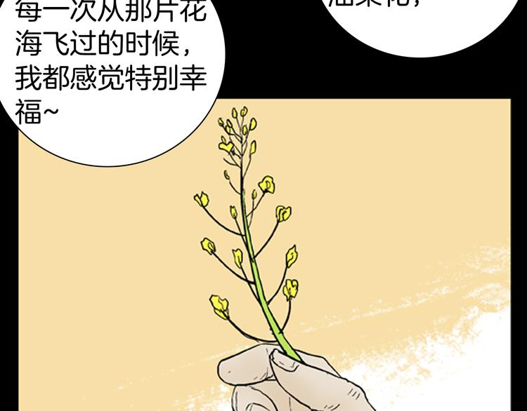 《山林怪谈》第43话 天空之翼 第25页