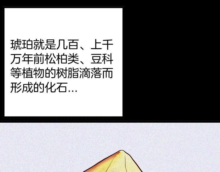 《山林怪谈》第55话 虫珀收藏家 第1页