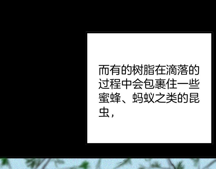 《山林怪谈》第55话 虫珀收藏家 第3页