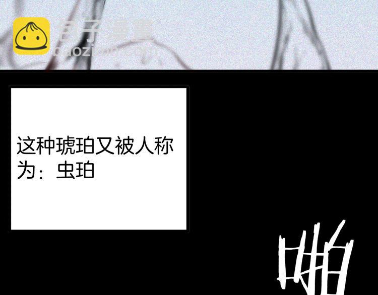 《山林怪谈》第55话 虫珀收藏家 第5页